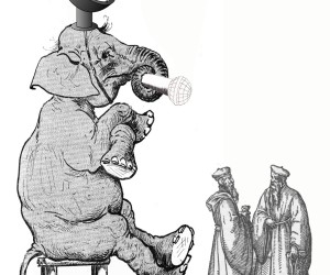 The Elephant in the Interview