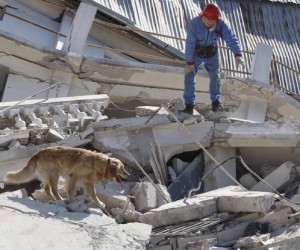 Sparky sniffs out Donna Hesterman's lede beneath two tons of word rubble.