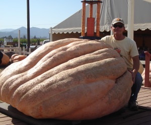 Joel Holland holds the Washington state record with this pumpkin from 2009.  Photo by Mari Lou Holland