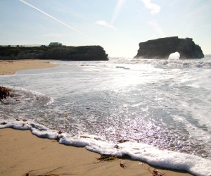 Natural Bridges, photo by Meghan D. Rosen