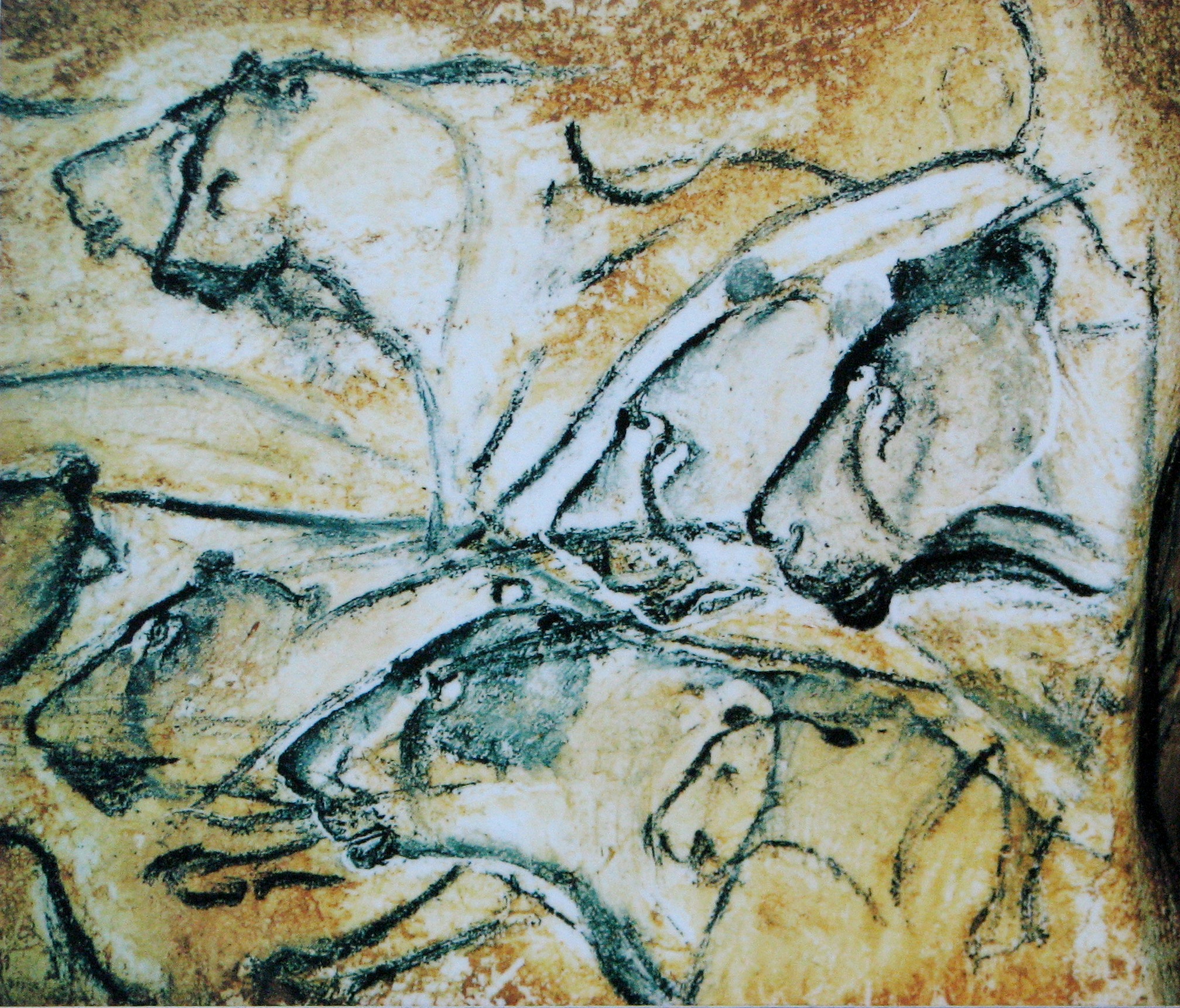 Painting from Chauvet Cave in France, believed to be about 30,000 years old, suggest the roots of human artistry. photo: HTO/Wikimedia commons