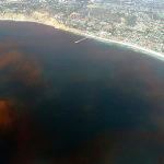 Sourcing Monterey Bay’s Red-Tide