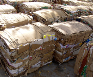 Perhaps the greatest gift for the environment this holiday season would be a change in how we recycle paper. Photo courtesy of <a href=”http://www.sxc.hu/photo/839897”>SXC</a>.