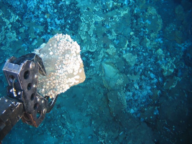 A remotely operated underwater vehicle (ROV) samples ore from the Bismarck Sea near Papua New Guinea.  Credit: Nautilus Minerals 