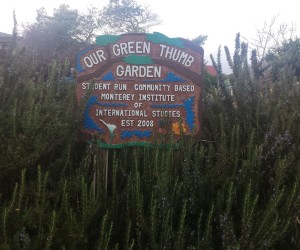 The sign marking the front of Our Green Thumb community garden on campus at the Monterey Institute of International Studies.