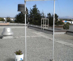 A fog collector waters chard on top of a campus building at California State University, Monterey Bay. Photo: Dan Fernandez