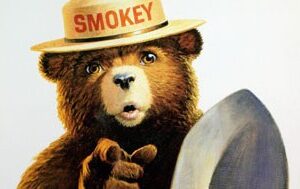 Has Smokey Bear’s message of forest fire prevention been taken too far? Photo credit: 	US Department of Agriculture via Flickr.