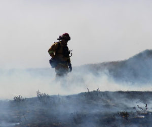 A firefighter checks for hot spots by the Soberanes Fire. This fire cost $250 million and is one of the costliest fires in the history of the U.S. Photo from the U.S. Department of Agriculture via Flikr.